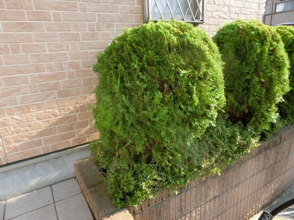 アルバソーレの物件内観写真